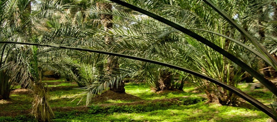 Kilang Dagon Myothit (Seikkan) Siap Penuhi Kebutuhan Lokal